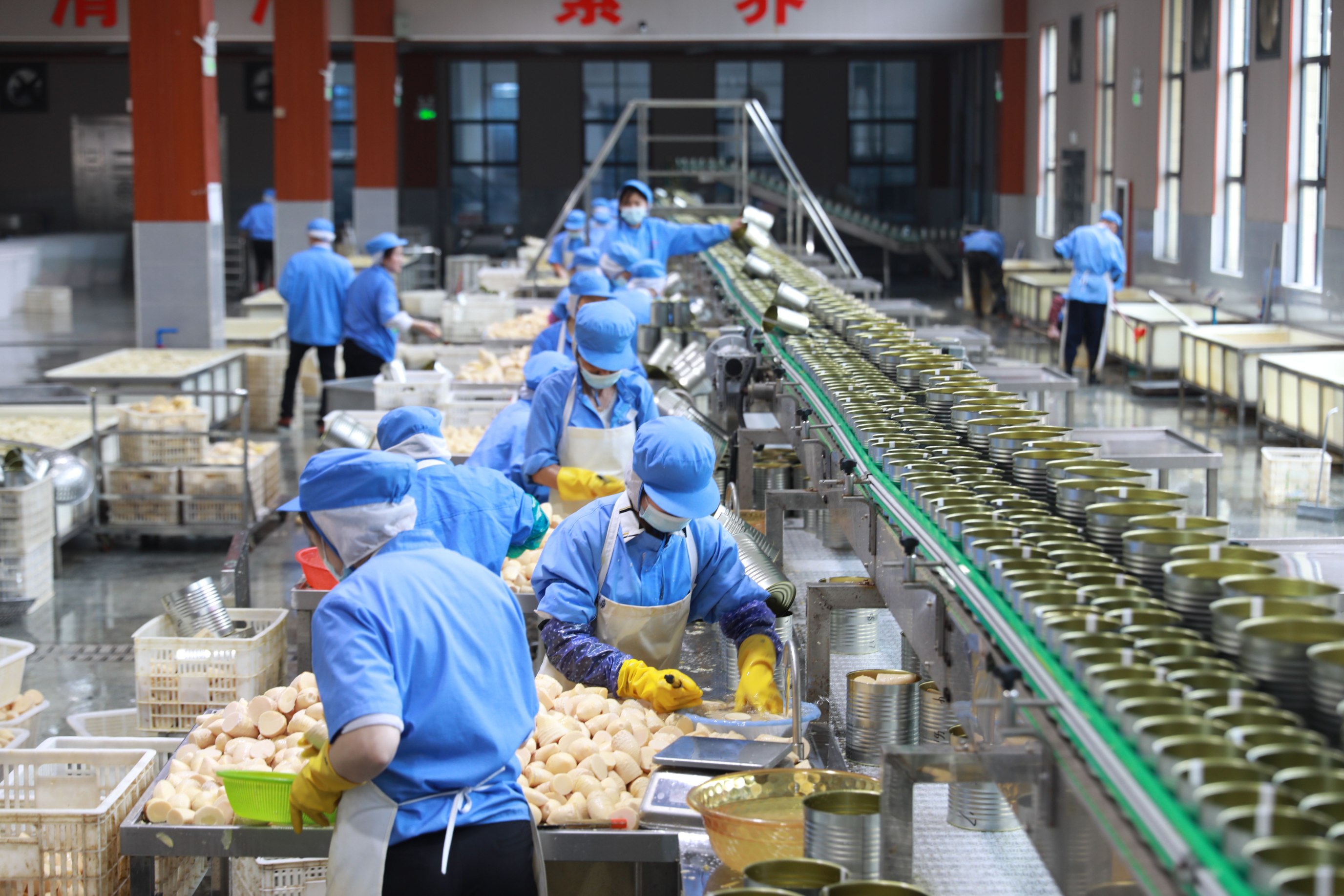 人行樂安縣支行 金融活水精準滴灌，助力竹筍產業融合升級